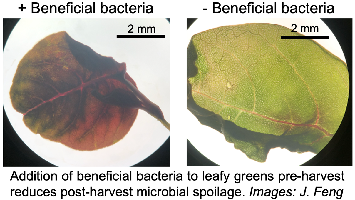research-image